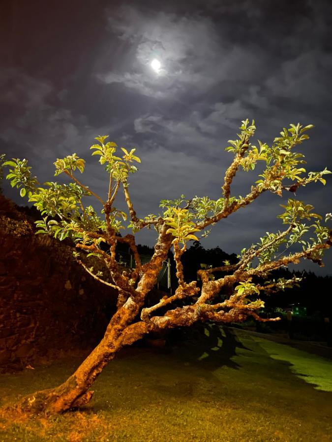 A Costa, Valle Del Mendo Oza de los Ríos Dış mekan fotoğraf